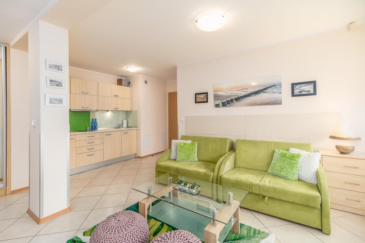 Bielik A01 By Renters